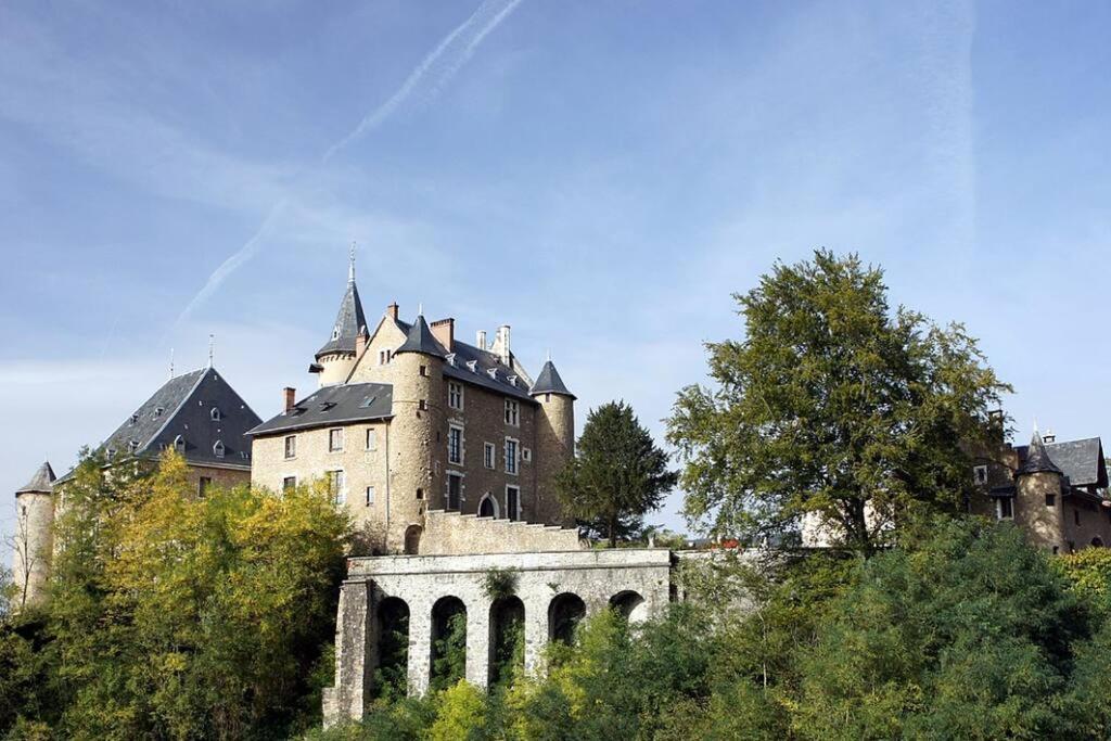 Chateau D'Uriage - Duplex Avec Terrasse Privative Saint-Martin-d'Uriage Экстерьер фото