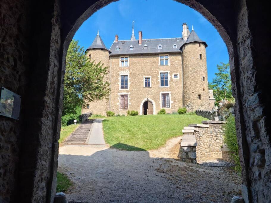Chateau D'Uriage - Duplex Avec Terrasse Privative Saint-Martin-d'Uriage Экстерьер фото